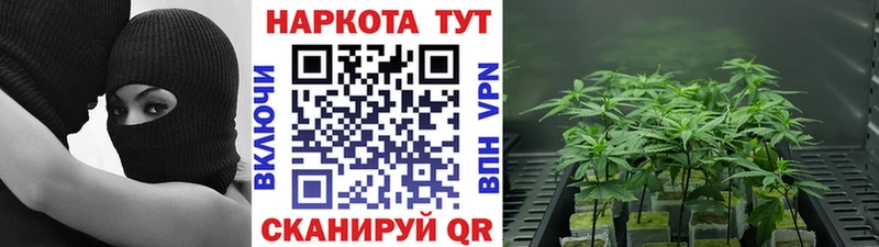 Купить закладку Канабис  Меф мяу мяу  СОЛЬ  Гашиш  Кокаин  Поронайск