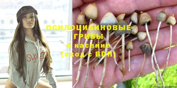 прущая мука Гусев