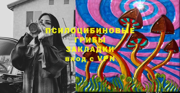 прущая мука Гусев