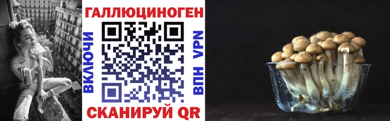 Купить где  Поронайск  Галлюциногенные грибы мицелий 